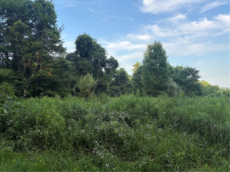Lot#1 Christie Rd — photo 3