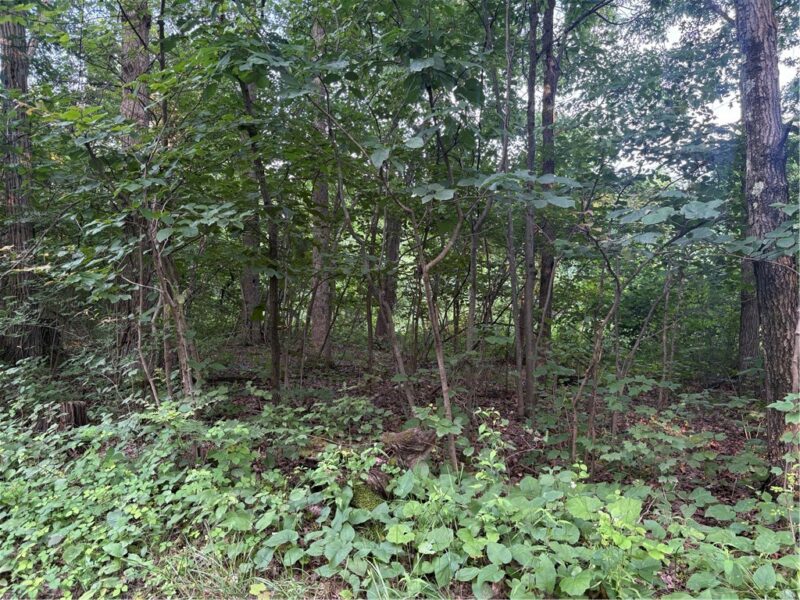 Lot#1 Christie Rd — photo 4