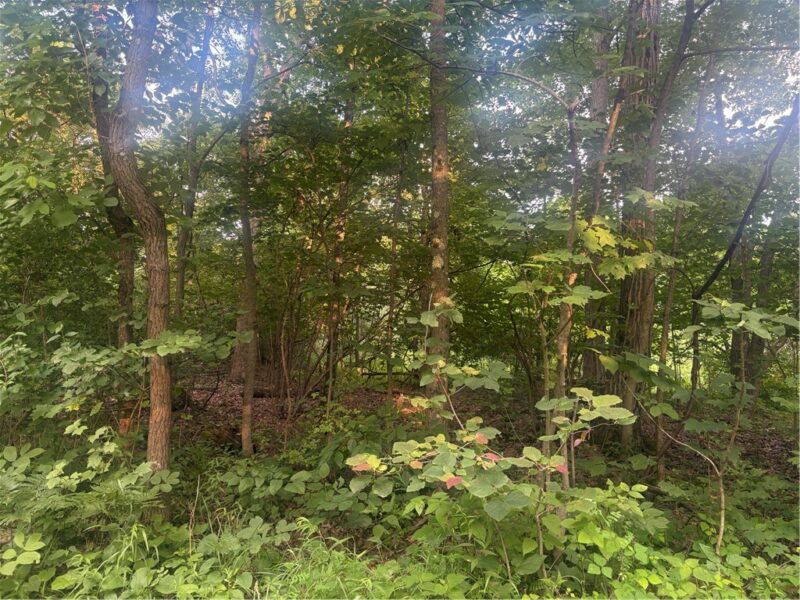Lot#1 Christie Rd — photo 5