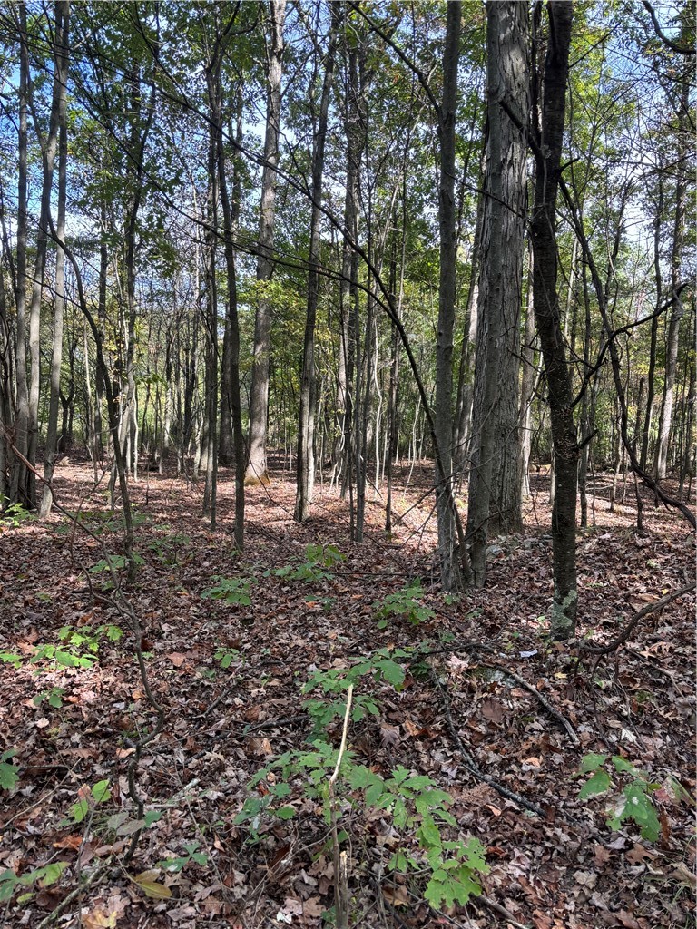 Lot#1 Christie Rd — photo 6
