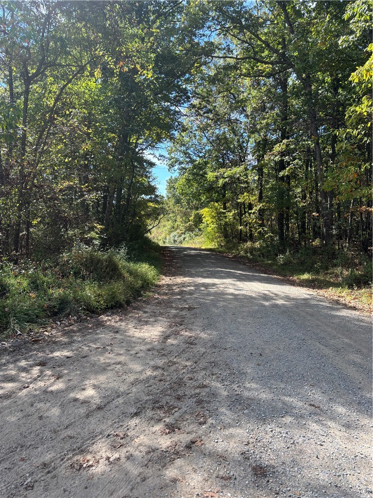 Lot#1 Christie Rd — photo 7