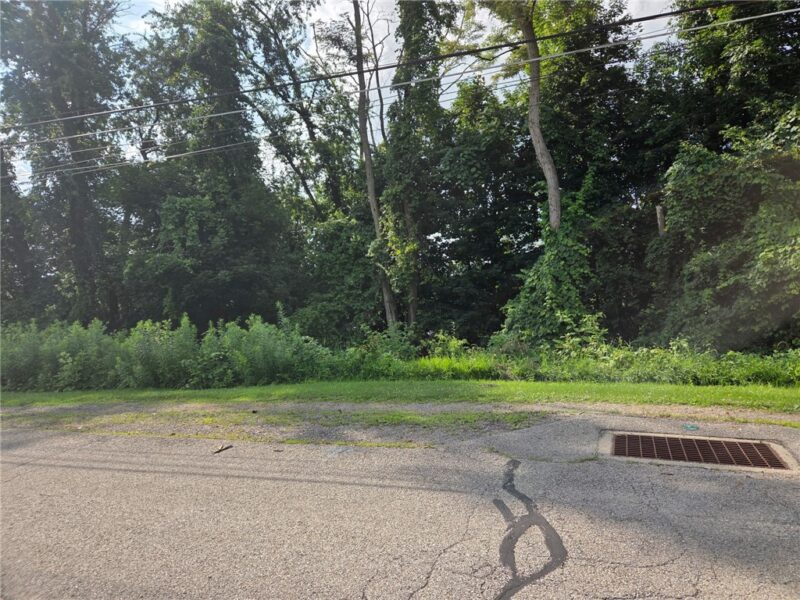 9113 Walnut — photo 3