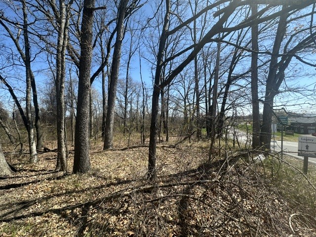 TBD Ridge Road — photo 6