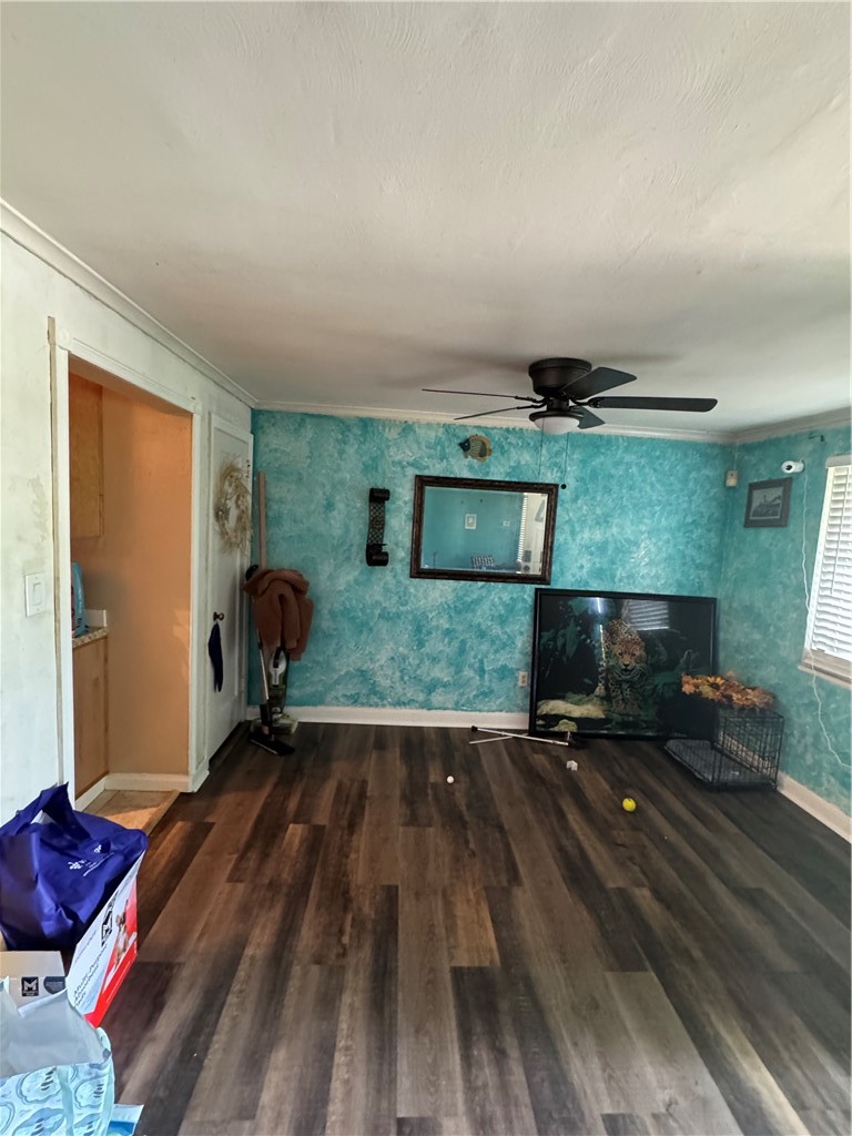 386 Dorothy Dr — photo 4