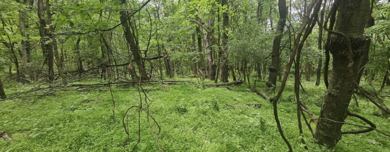 0000 Reservoir Road — photo 7