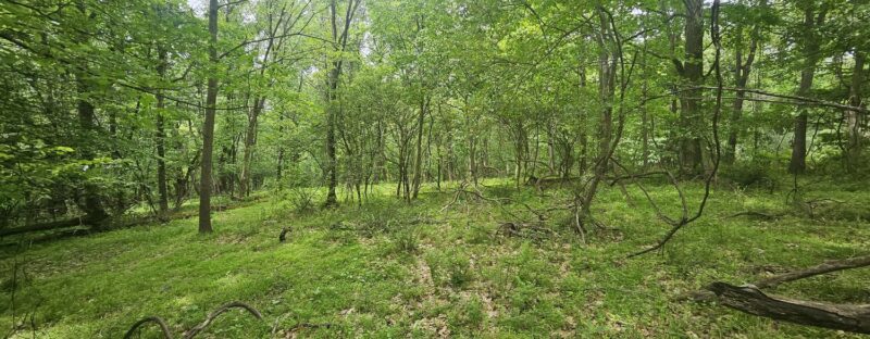 0000 Reservoir Road — photo 8