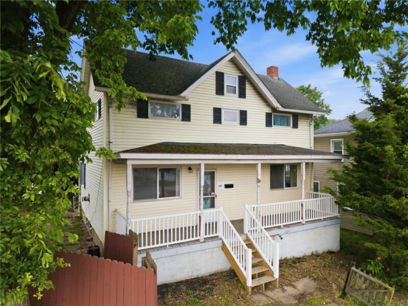 2007 Western — photo 2