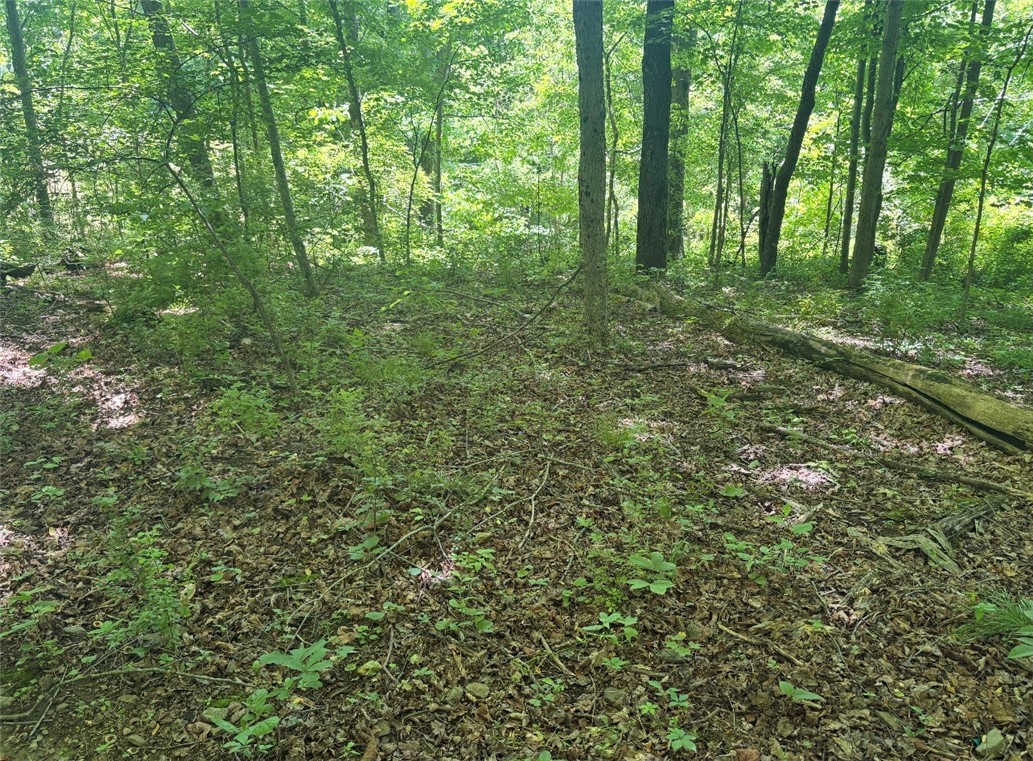0 TR117-NR Woodside — photo 1