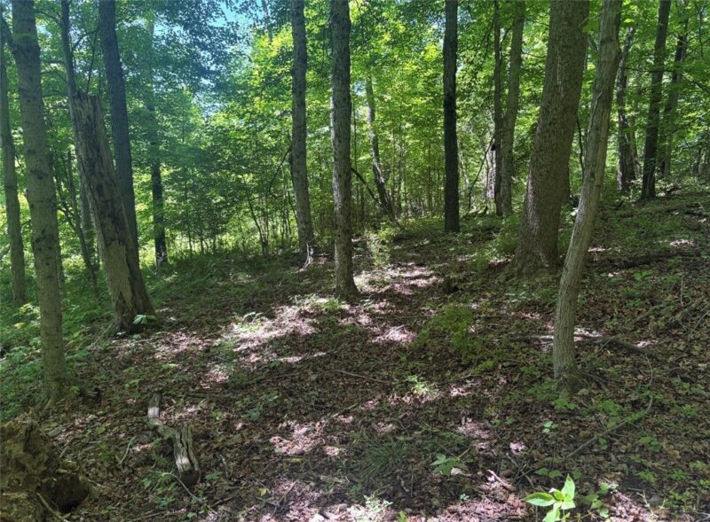 0 TR117-NR Woodside — photo 2