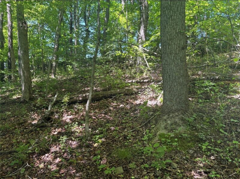 0 TR117-NR Woodside — photo 3