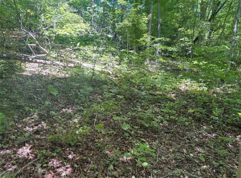 0 TR117-NR Woodside — photo 4
