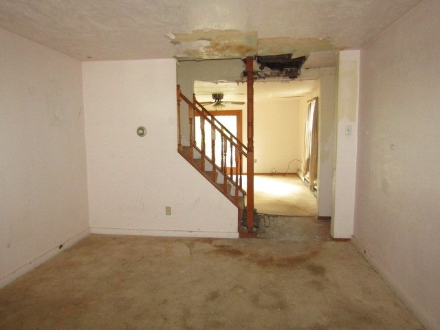 821 Veronica Dr — photo 6