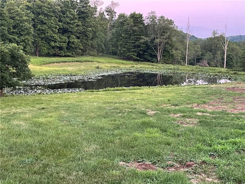2420 US 322 — photo 4