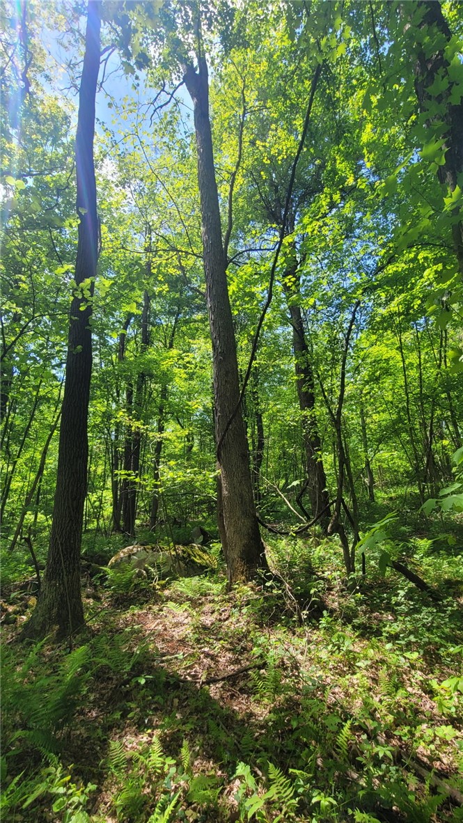 000 Camp Achievement Rd — photo 1