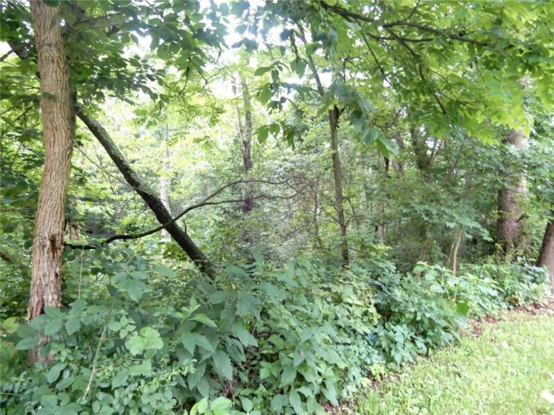 Lot 1 Canterbury Lane — photo 5