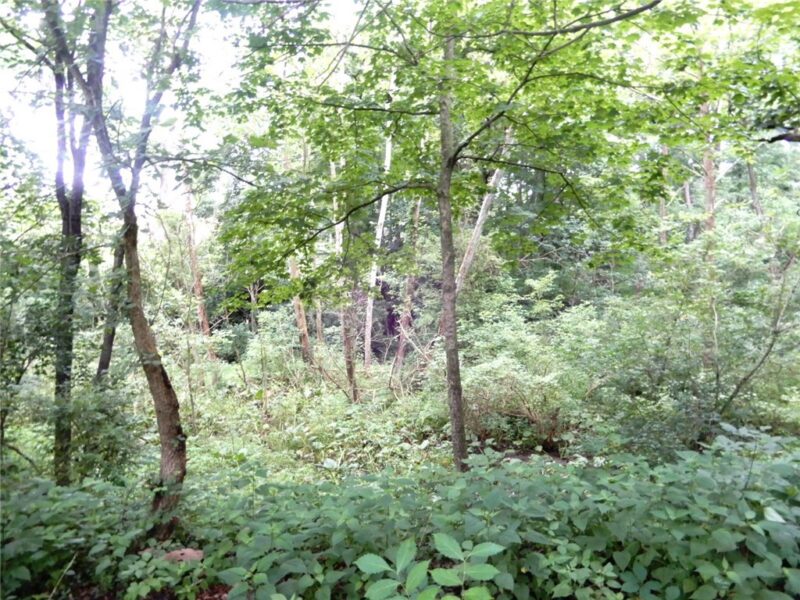Lot 1 Canterbury Lane — photo 6