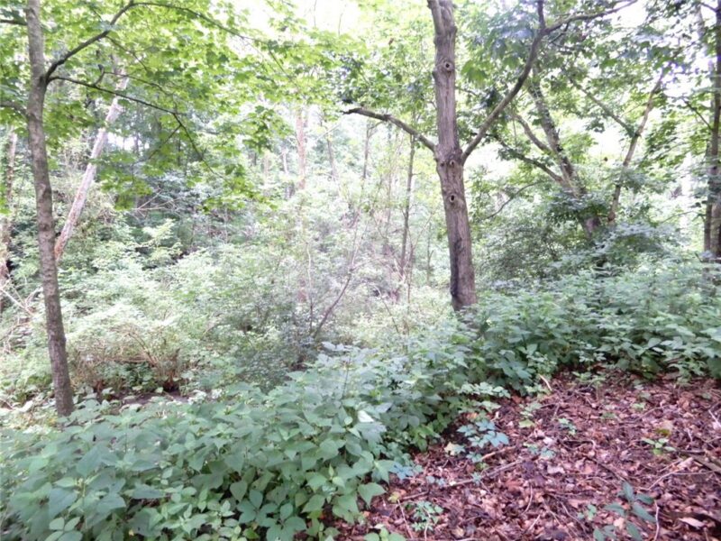 Lot 1 Canterbury Lane — photo 7