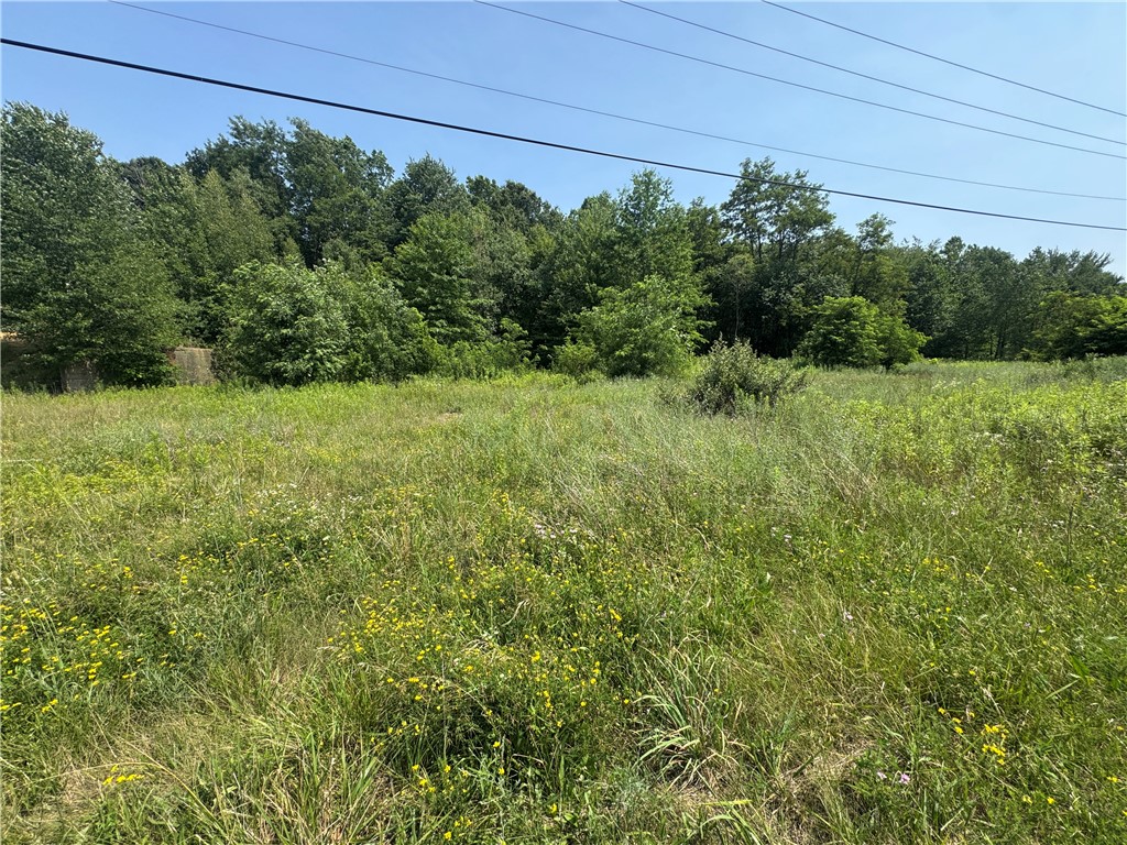 000 Old Butler Road — photo 1