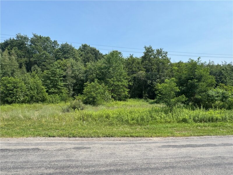 000 Old Butler Road — photo 2