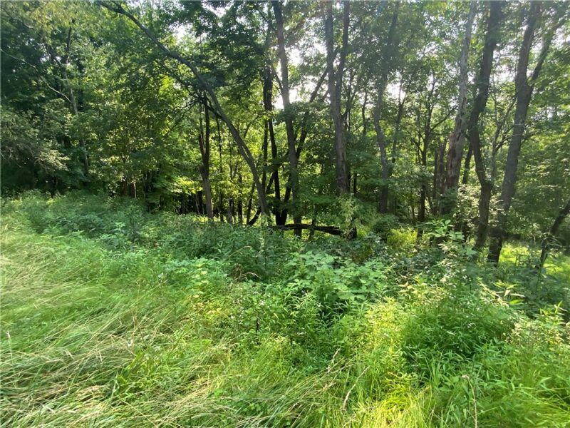 0 East Finley Dr — photo 6
