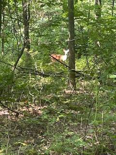 0 West Ln — photo 1