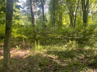 0 West Ln — photo 2