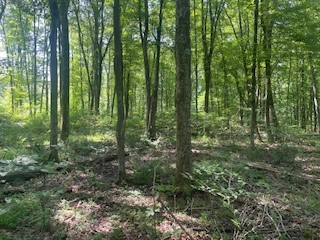 0 West Ln — photo 3