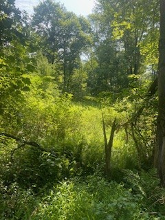 0 West Ln — photo 4
