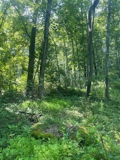 0 West Ln — photo 5