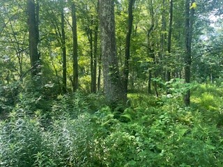 0 West Ln — photo 7