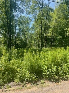 0 West Ln — photo 8