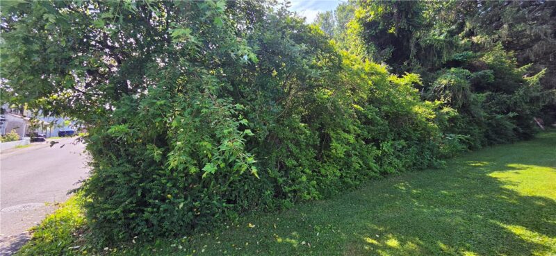 139 Somerset Ave — photo 3