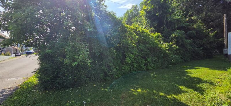 139 Somerset Ave — photo 4