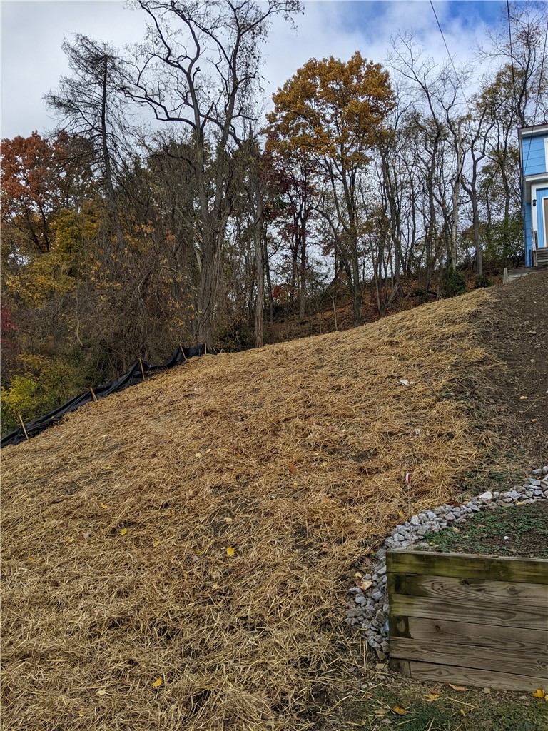 37 Lawrence Street — photo 1