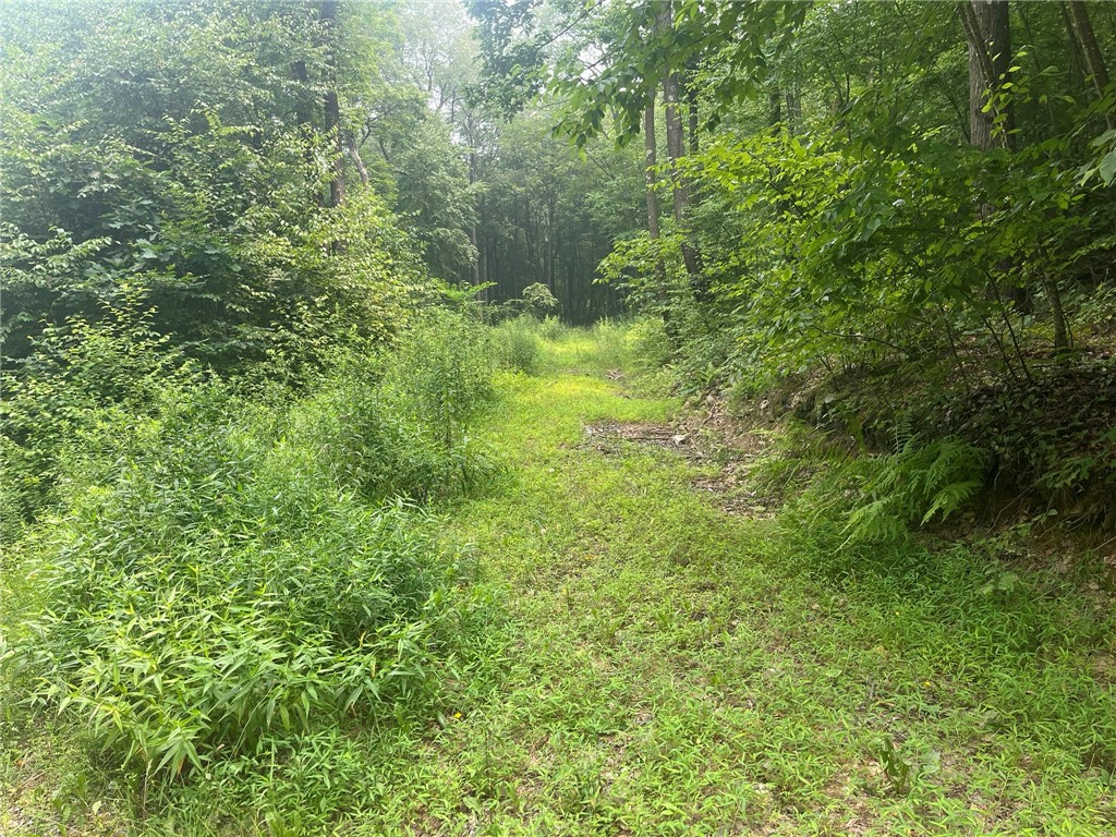 Lot 10 Off Camp Run Rd — photo 1