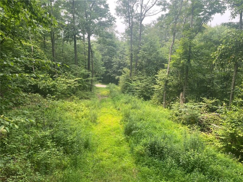 Lot 10 Off Camp Run Rd — photo 2
