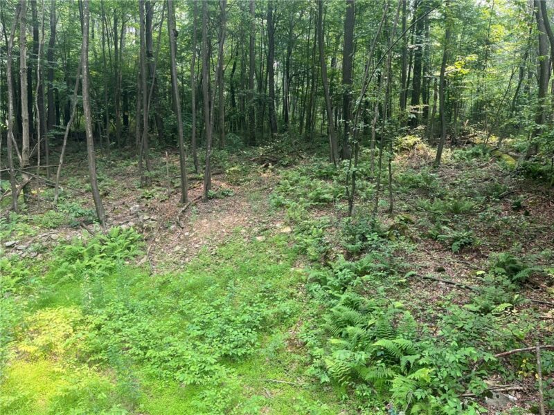 Lot 10 Off Camp Run Rd — photo 3