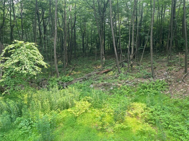Lot 10 Off Camp Run Rd — photo 4