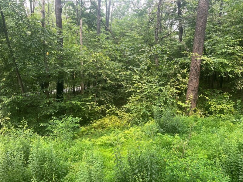 Lot 10 Off Camp Run Rd — photo 5