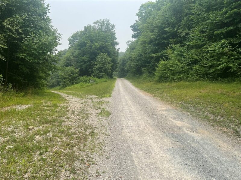 Lot 10 Off Camp Run Rd — photo 6