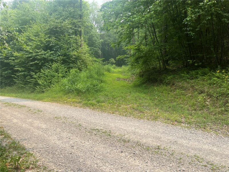 Lot 10 Off Camp Run Rd — photo 8