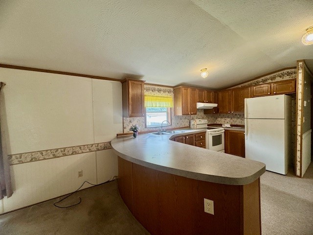 106 Jodi Ln — photo 5
