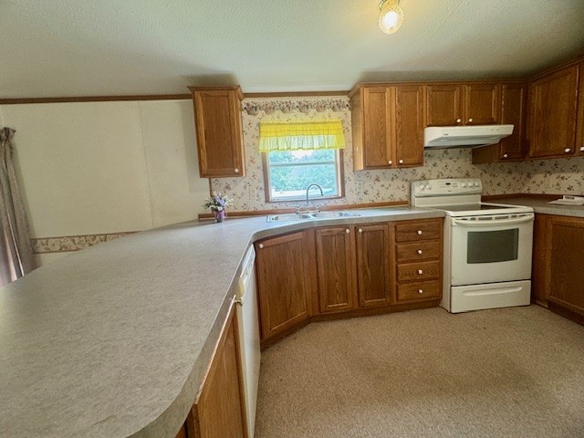 106 Jodi Ln — photo 8