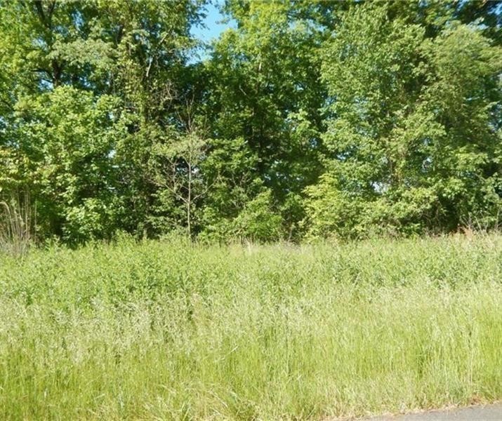 Lot 51 Saw Mill Road — photo 1