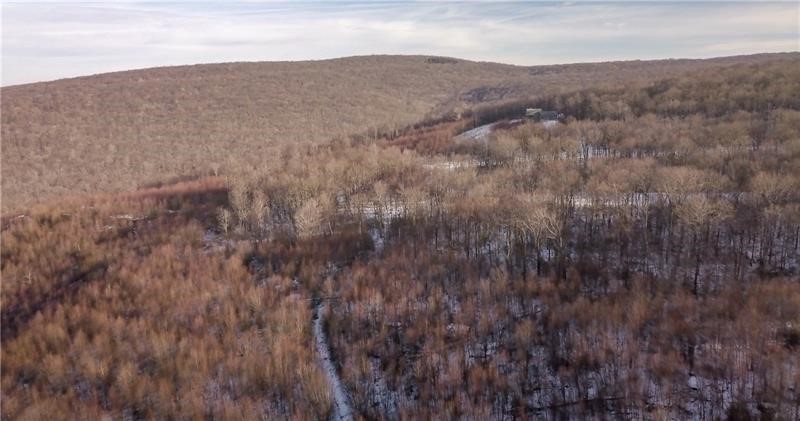 Lot 4 Bluffs Trail — photo 1
