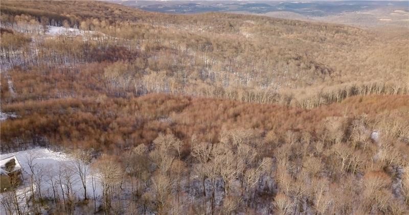 Lot 4 Bluffs Trail — photo 2