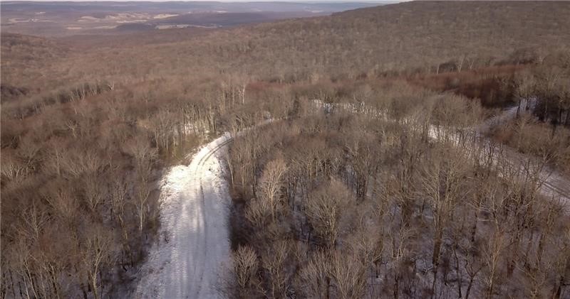 Lot 4 Bluffs Trail — photo 4