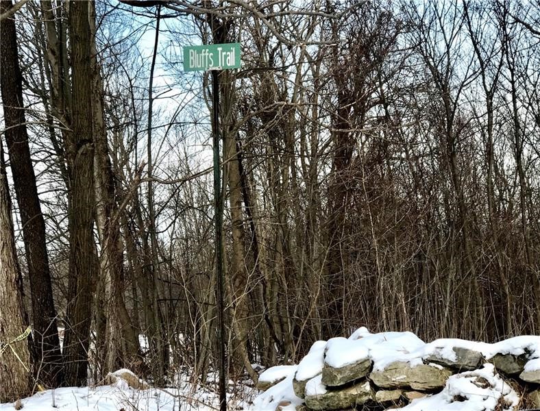 Lot 4 Bluffs Trail — photo 7