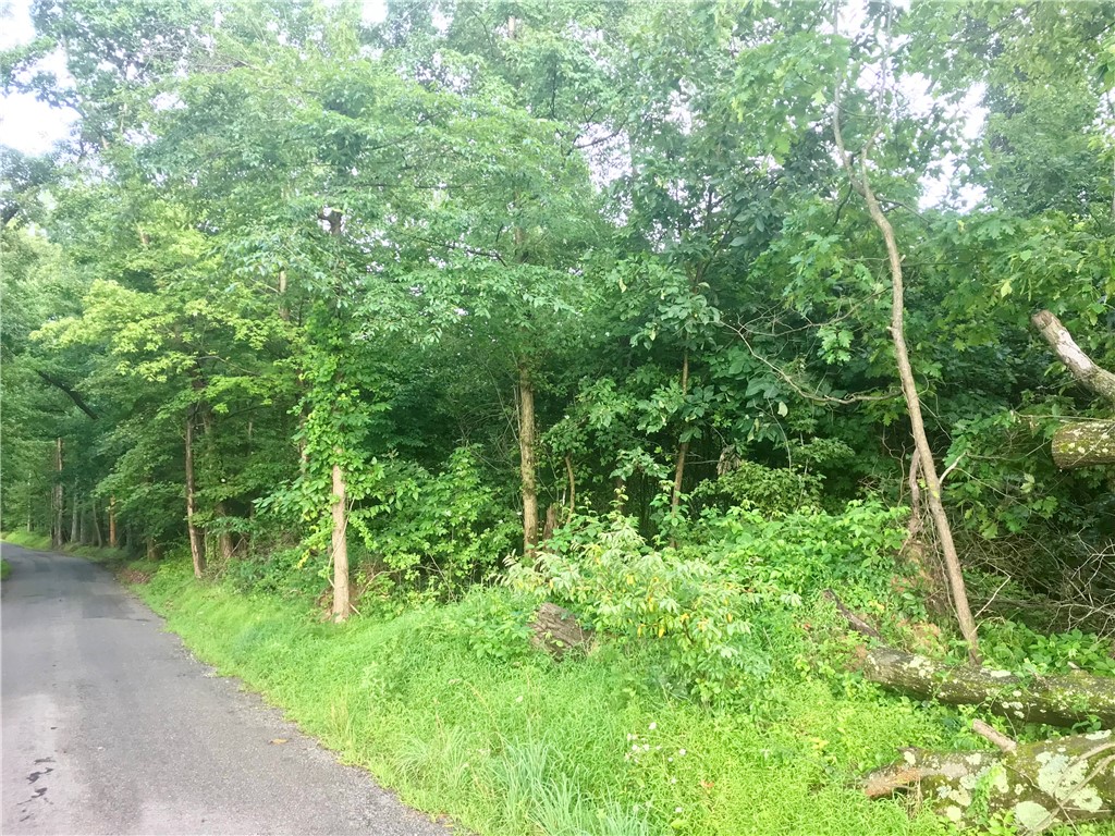 0 Palko Road — photo 1