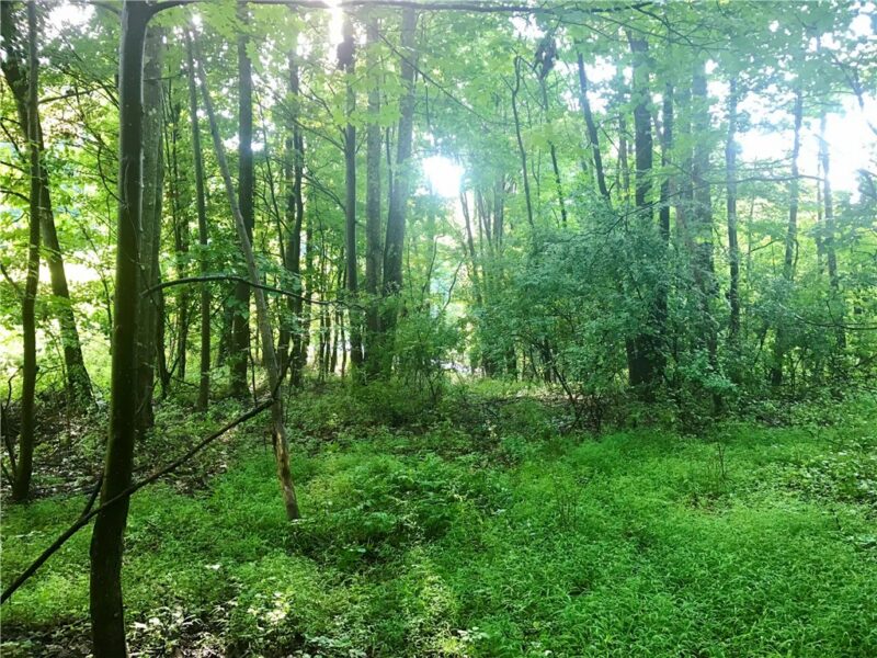 0 Palko Road — photo 4